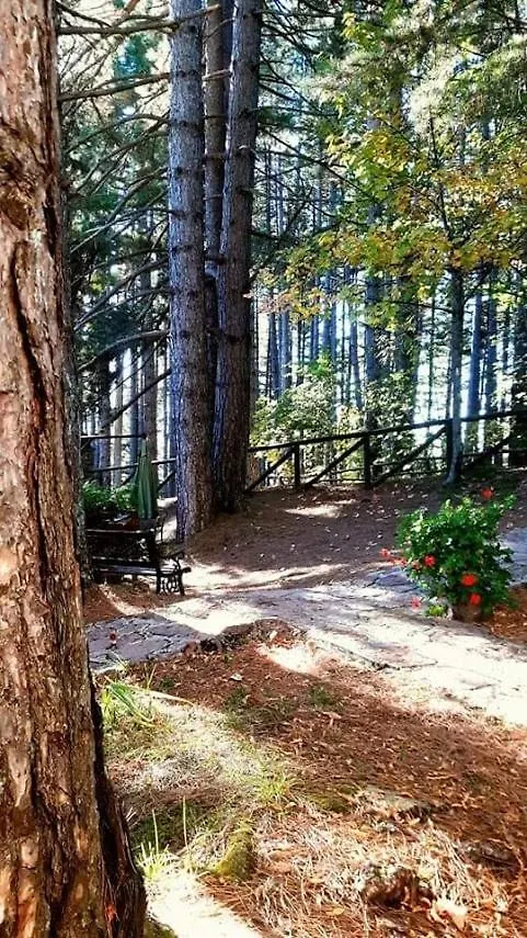 Appartement Villaggio Barilari Minucciano Italie